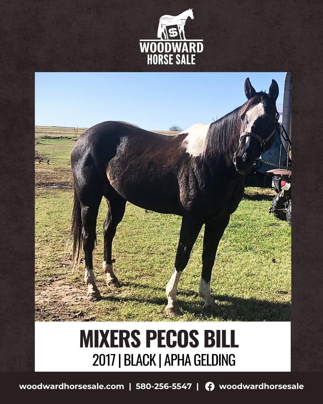 MIXERS PECOS BILL.jpg