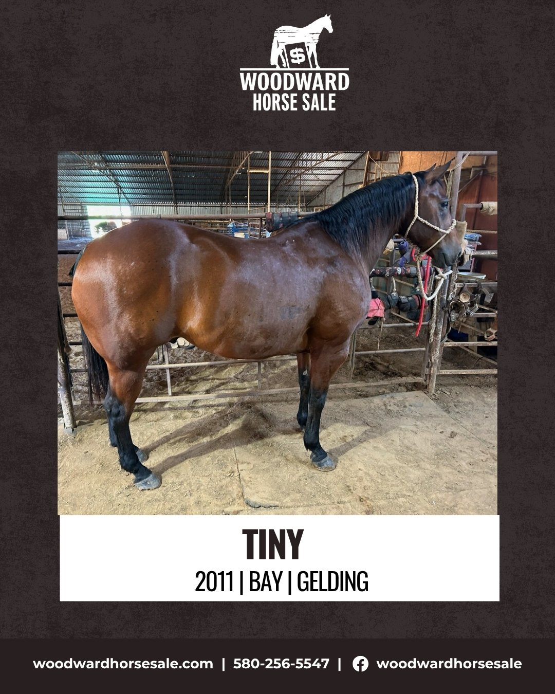 TINY.jpg