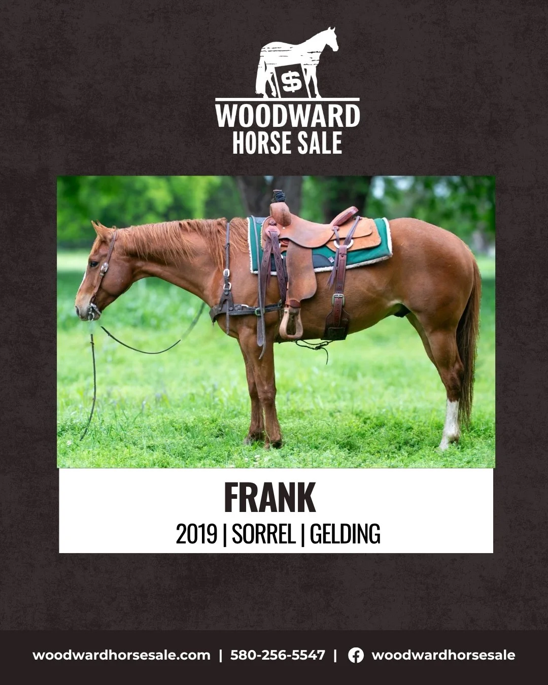 FRANK.jpg
