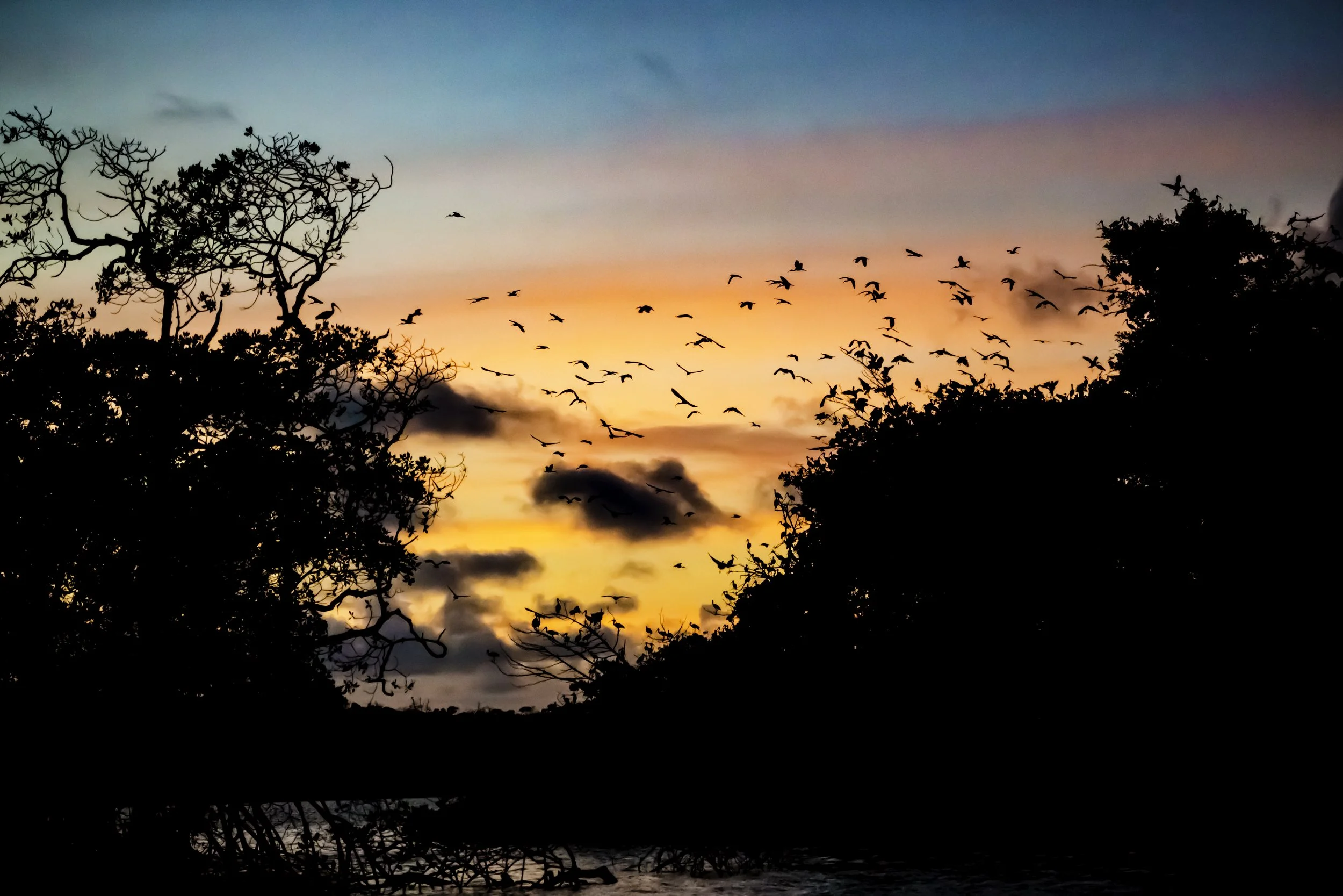 Ilha Grande. 40822581422_6b97a82f9e_o.jpg