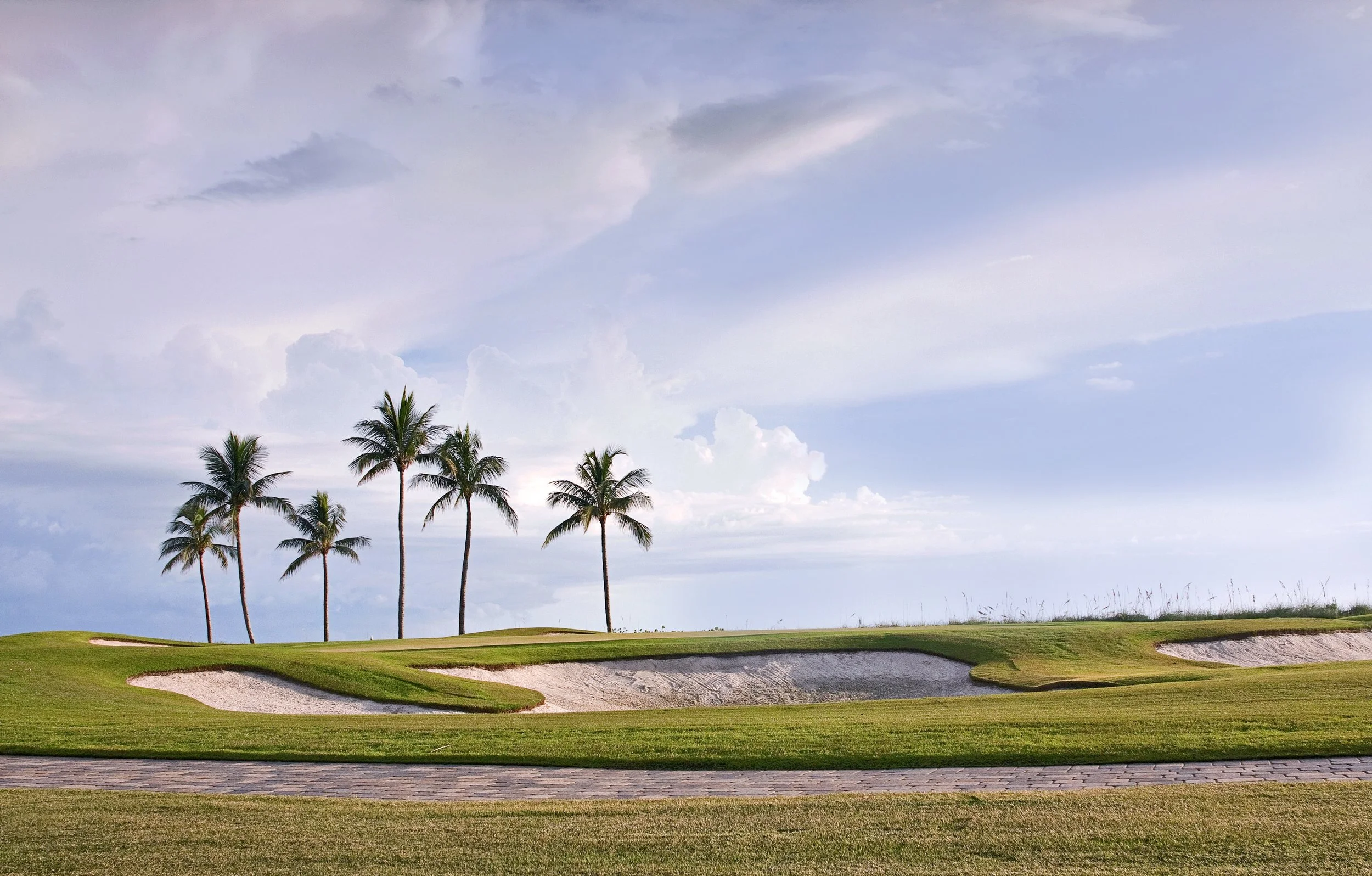 florida golf.jpeg