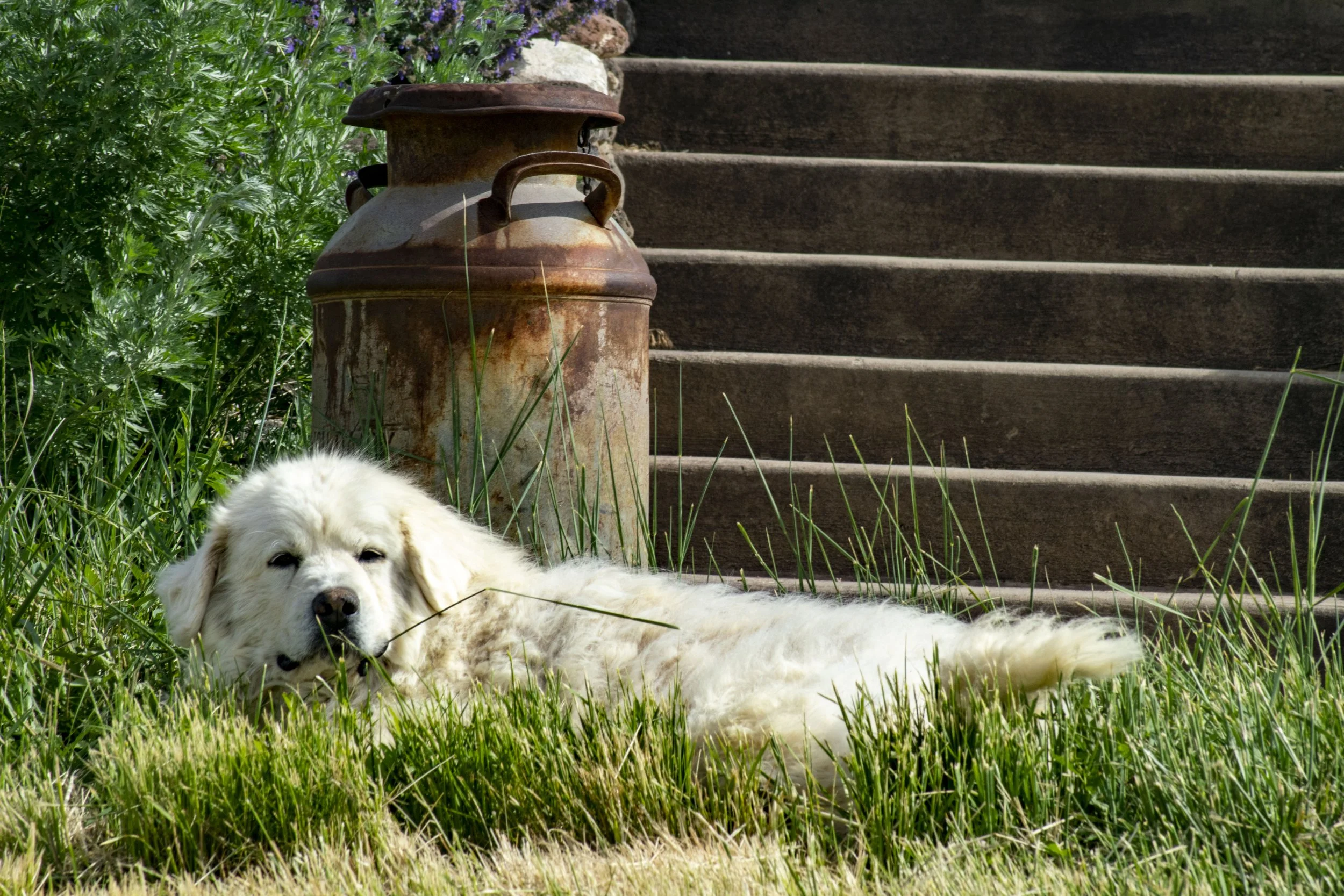 DSC_0750.JPG