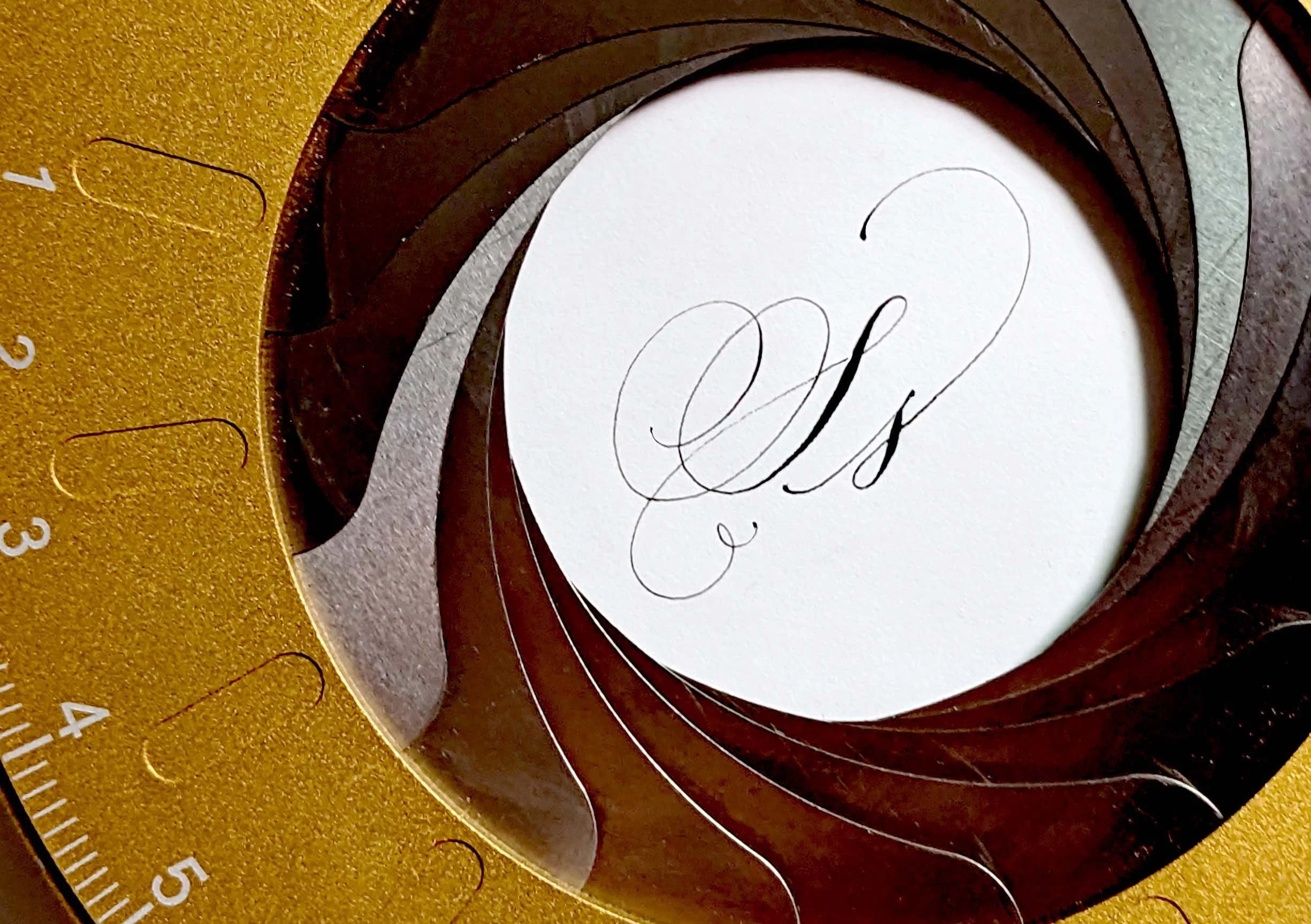 s MONOGRAM COPPERPLATE CALLIGRAPHY.jpg