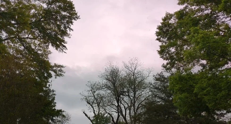 61 Years of Observation, Experience, and Healing