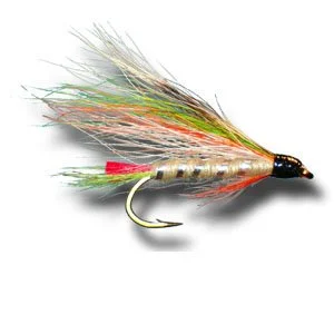 little brook trout.jpeg