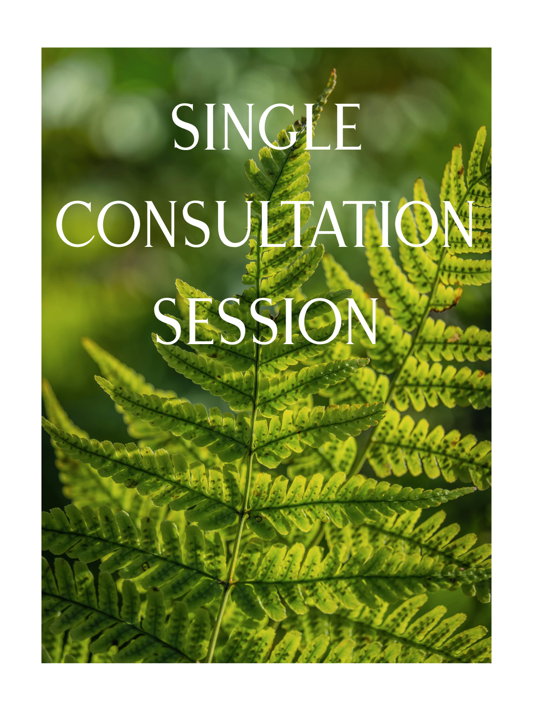 Single Consultation Session in white text overlay with photograph of ferns