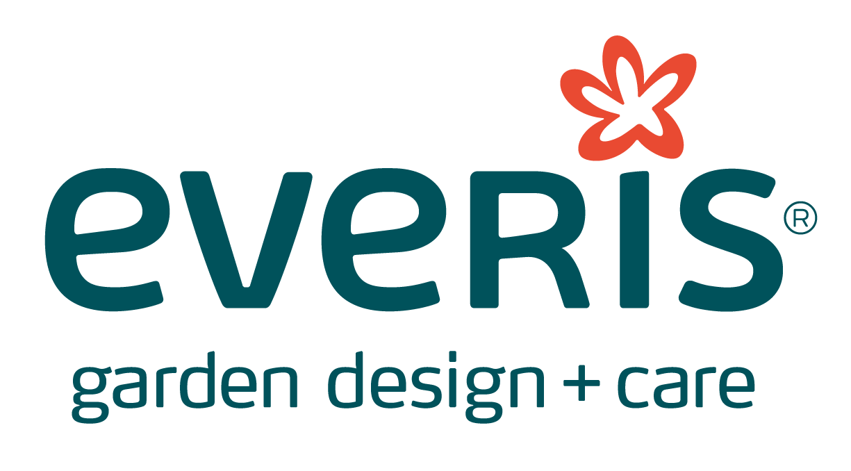 Everis_Logo_Color_v2020_CMYK-01.png