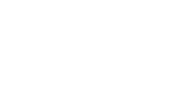 Dead Ringers