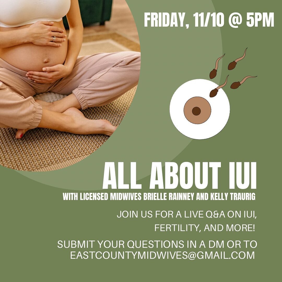 Coming soon: All About IUI

LIVE on IG Friday November 10th, 5pm
@ecmidwives 

Join myself and my colleague Brielle Rainney LM, CPM to discuss all things IUI (intrauterine insemination), and learn more about how midwives can support your fertility! 
