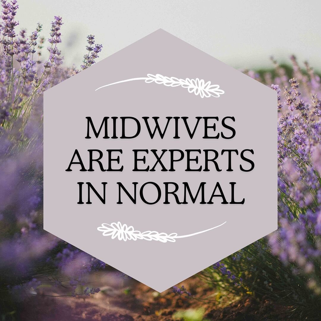 You may know midwives are experts in normal pregnancy&hellip; but did you know we specialize in ALL aspects of normal reproductive health? 

In addition to pregnancy care, midwives can offer pregnancy tests, Pap &amp; STI testing, reproductive wellne