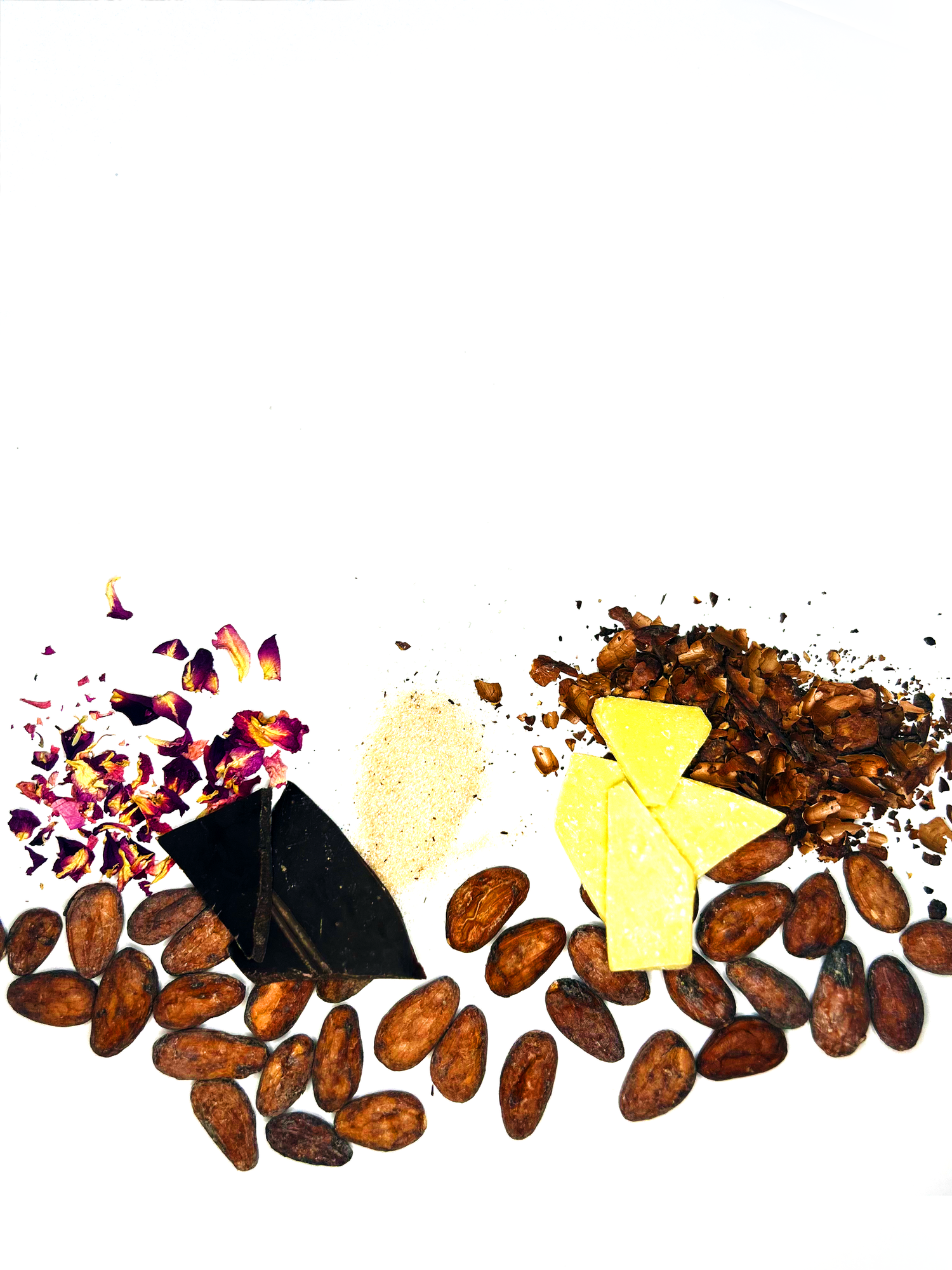 Eleventeen Cocoa Beans