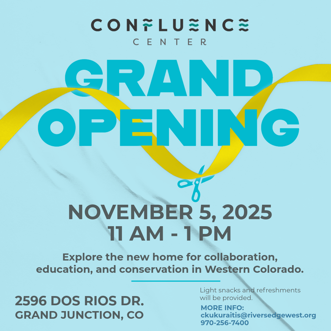 Grand Opening!