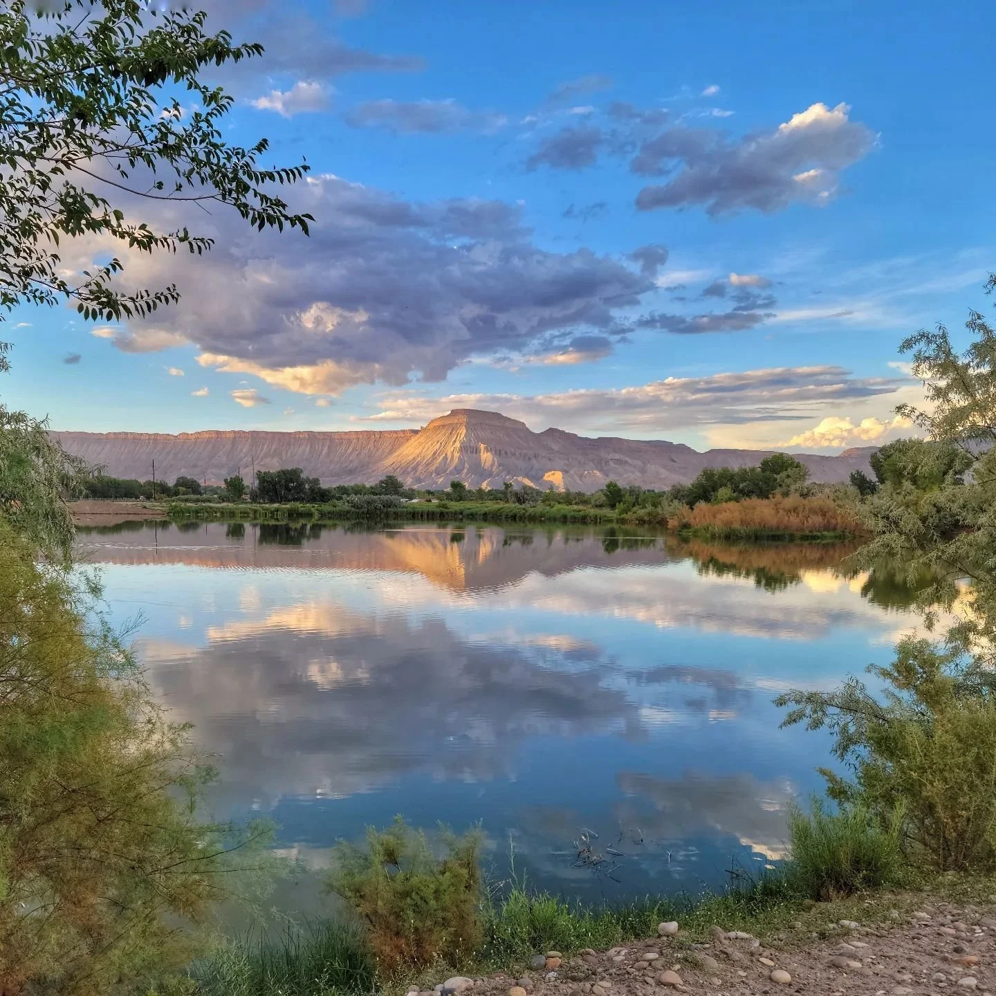 Confluence Center of Colorado