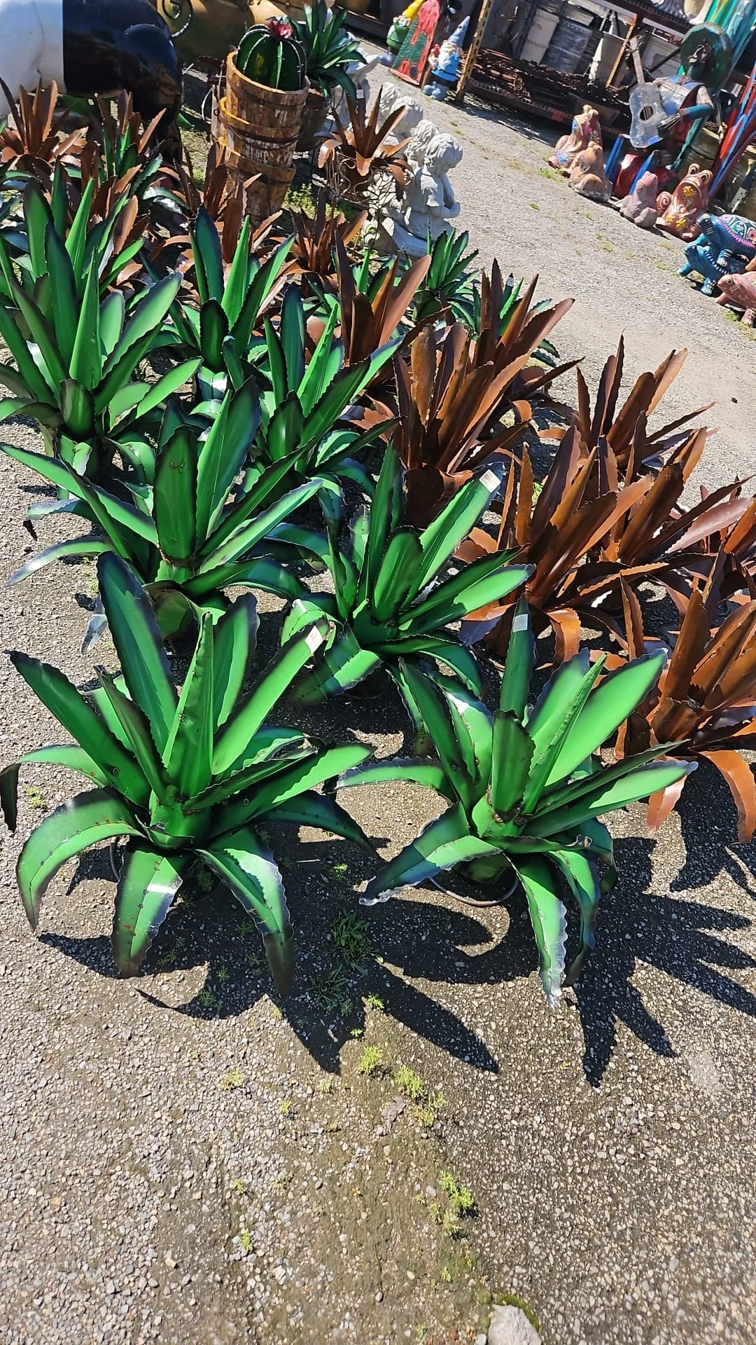 Rows of potted agave plants, some with green leaves and others with brownish leaves, outdoors at a plant nursery or garden center, with other decorative statues and garden ornaments visible in the background.