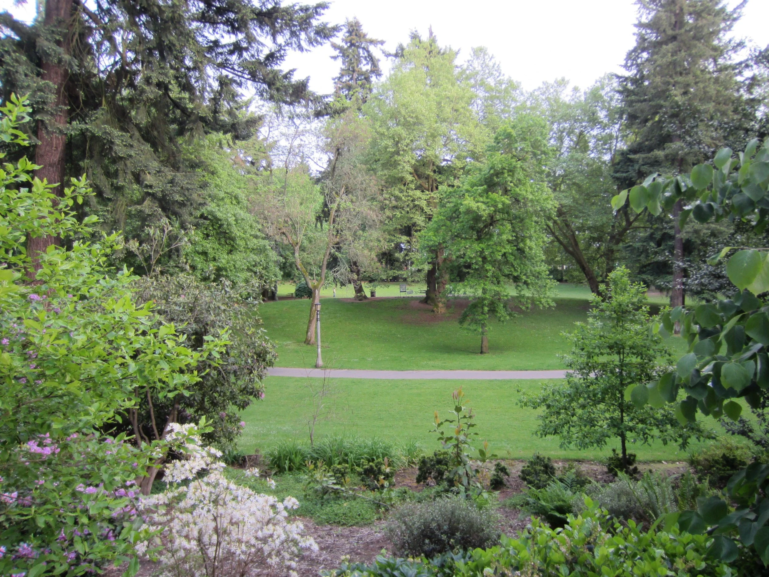 Meetup with ICHRP (New location!)