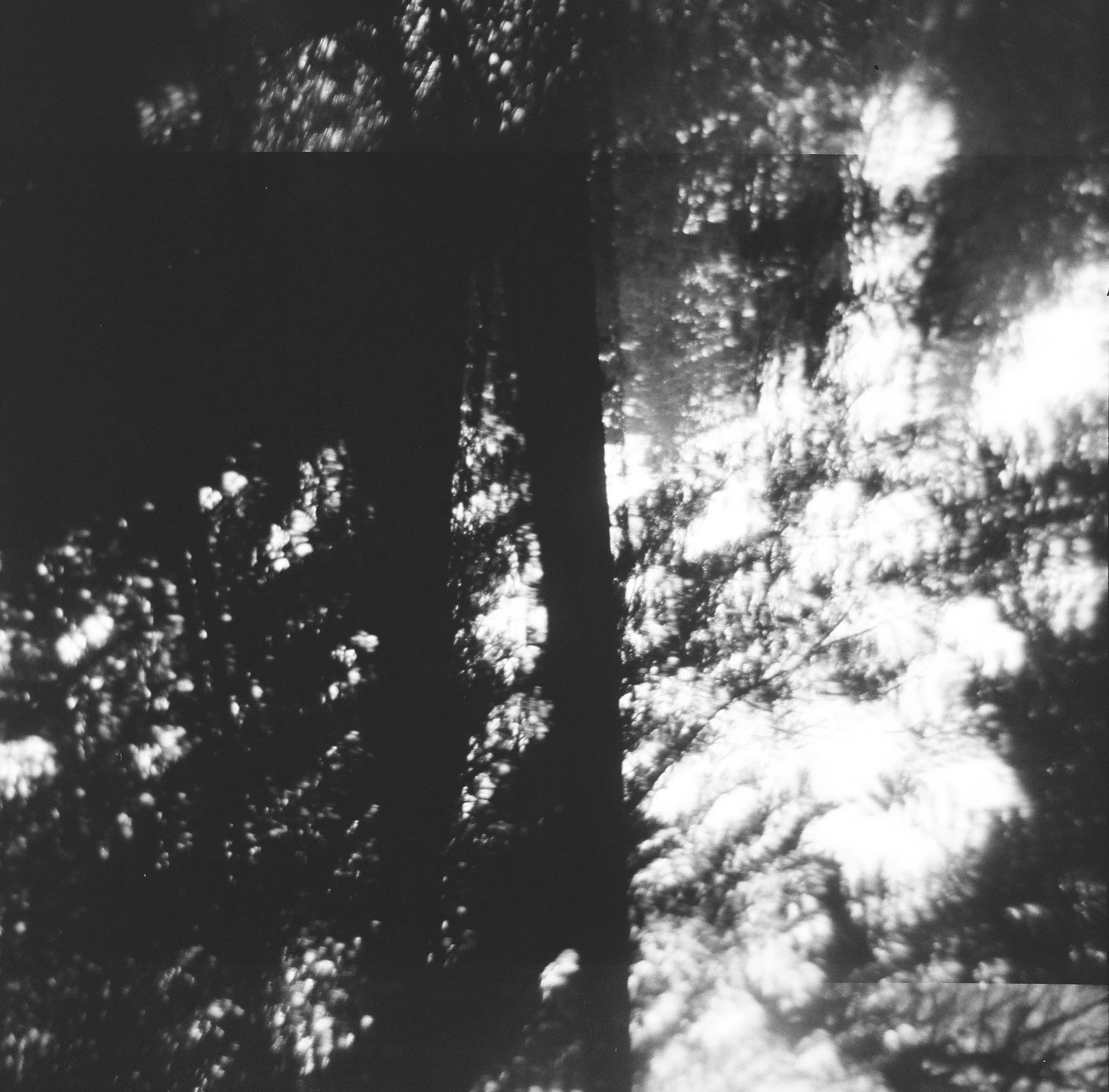 000035720014.jpg