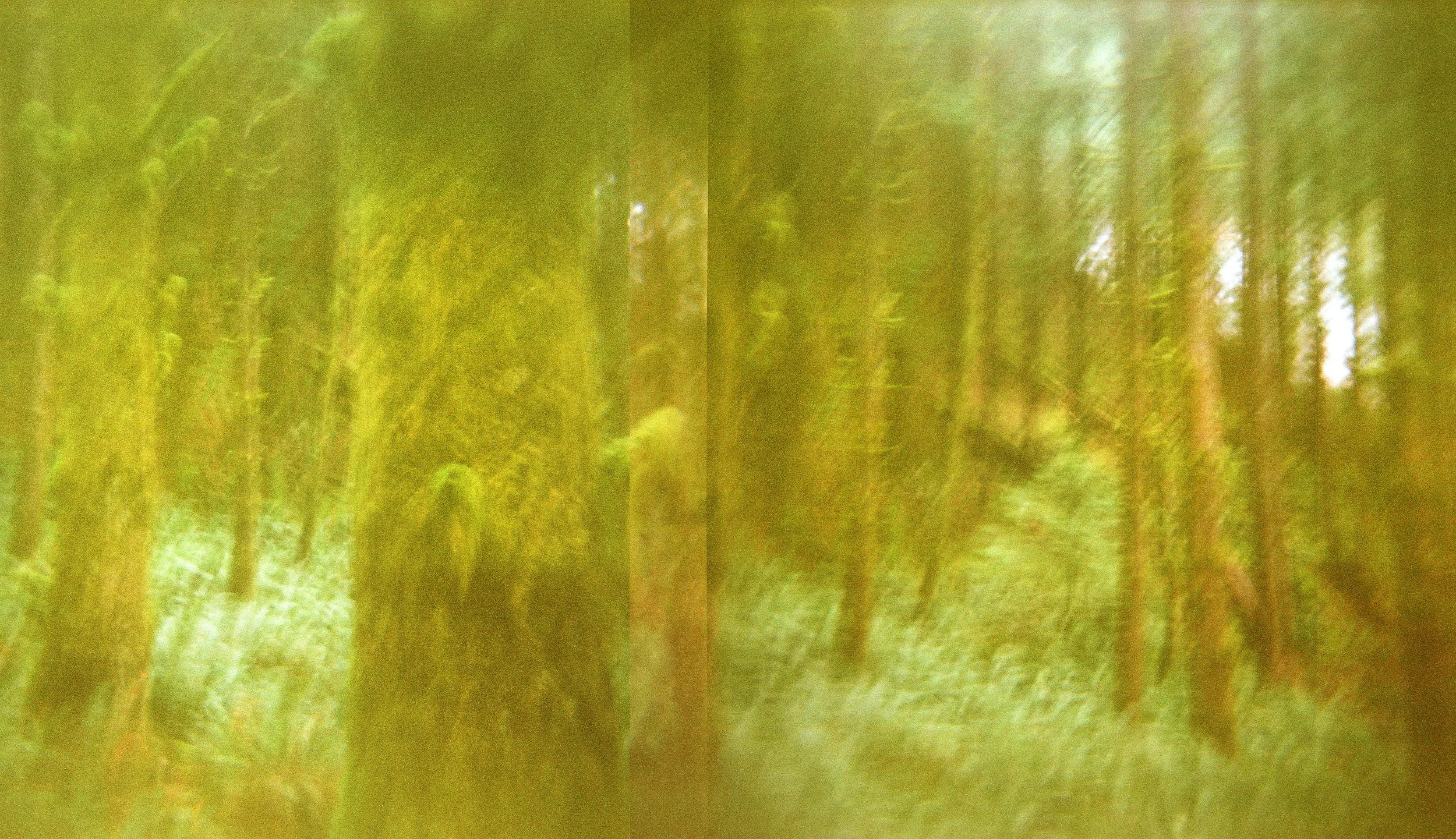 000082390007.jpg
