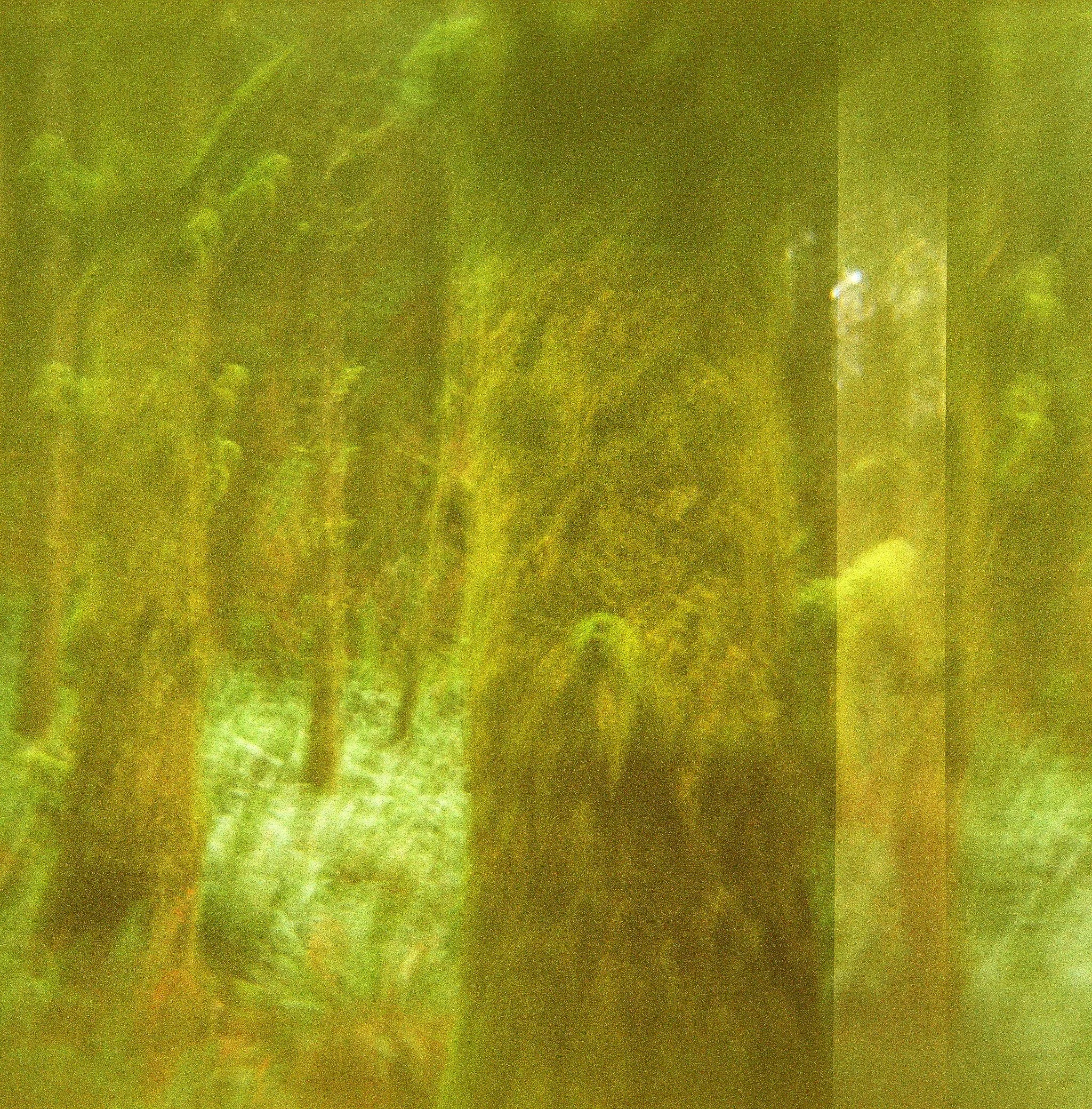 000082390007_1.jpg