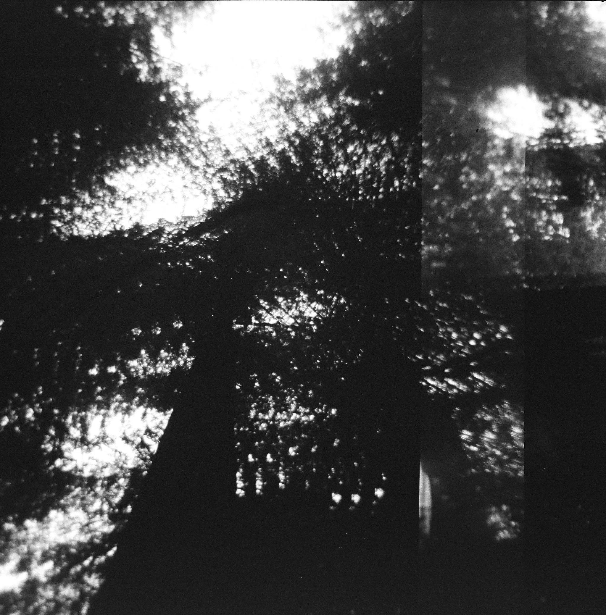 000035720013.jpg