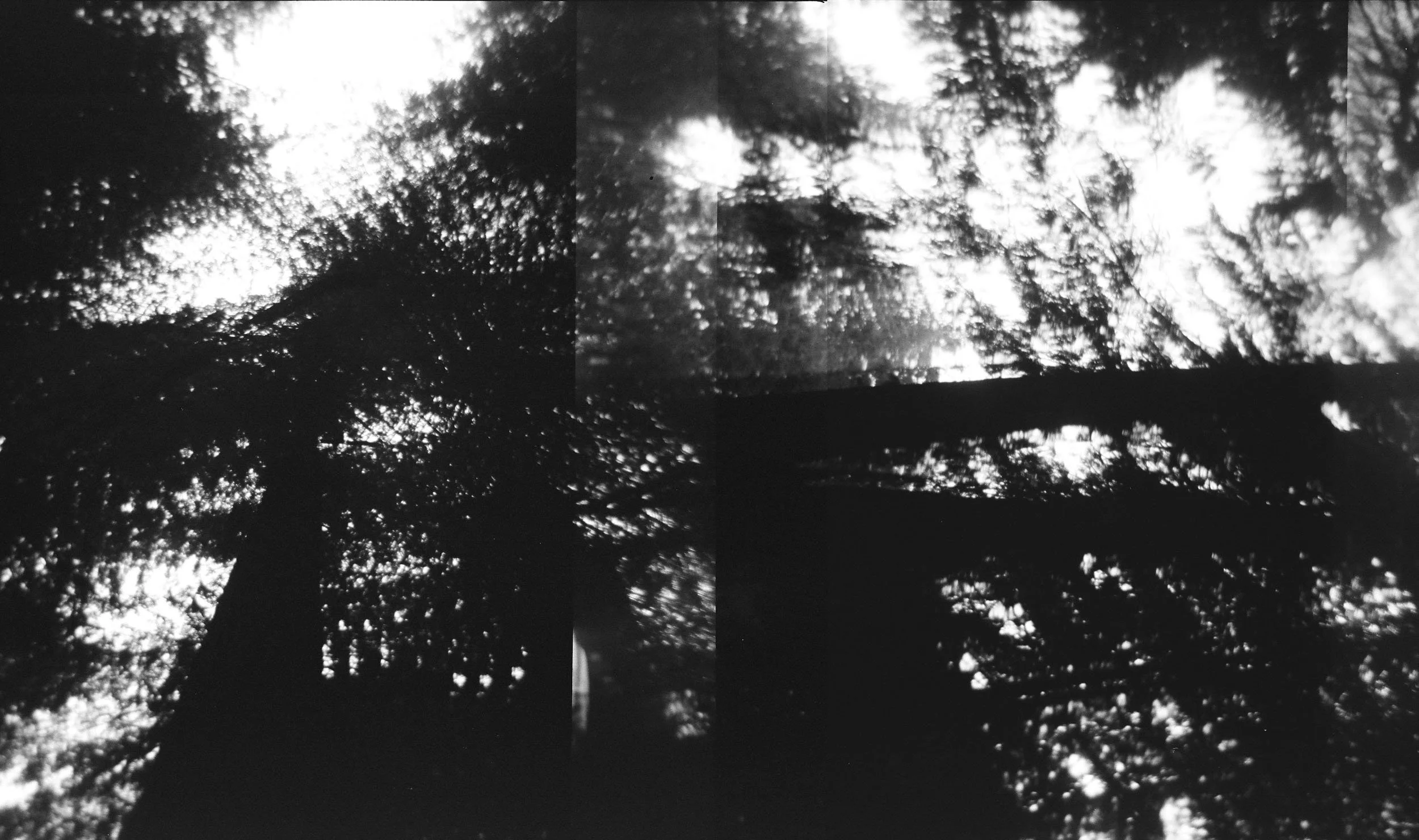 000035720014_1.jpg