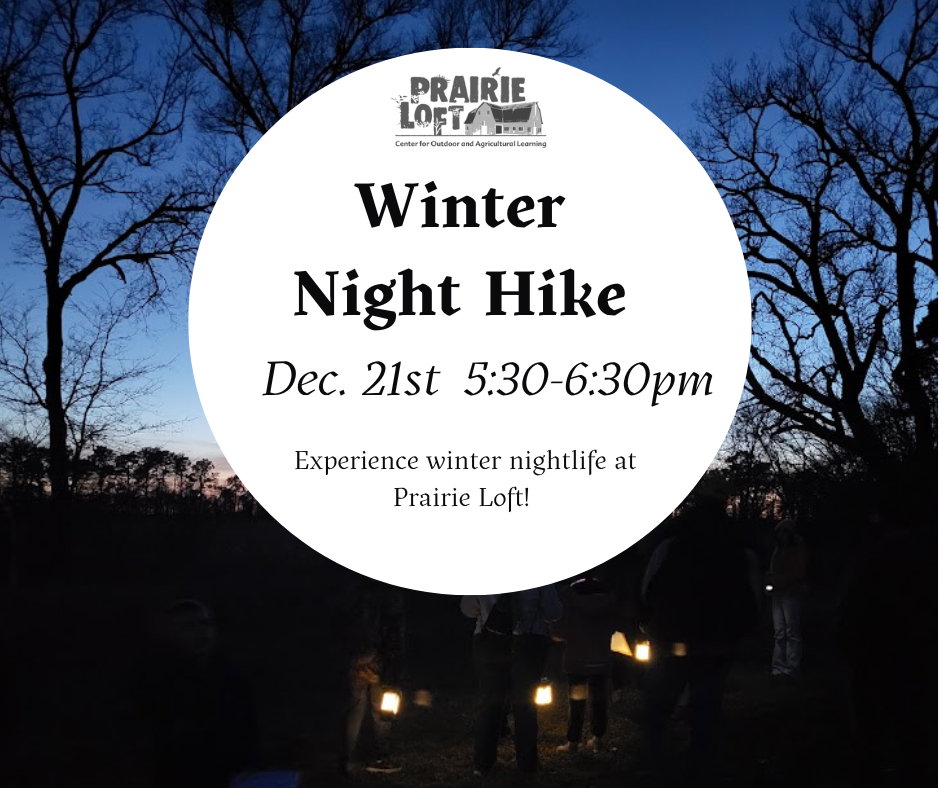 Winter Night Hike 