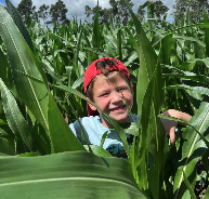 Farming Fun (Ages 4-6)