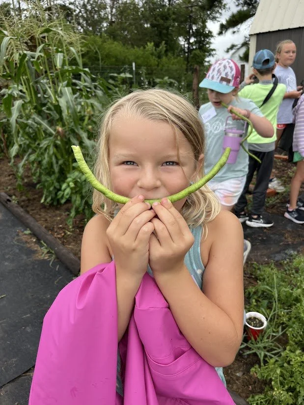 Farm Around the World (ages 7-10) 