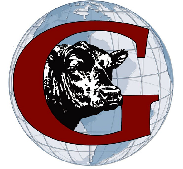 Gottsch Livestock Feeders Logo, Capital G with a globe in the background and a cattle head in the center. They are sponsoring Steak & Ale