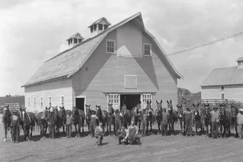 Black and white photo of a large barn with a crowd of people and horses outside.