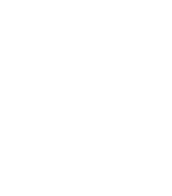 Shield icon with a Wi-Fi signal symbol inside, representing internet security or Wi-Fi protection.