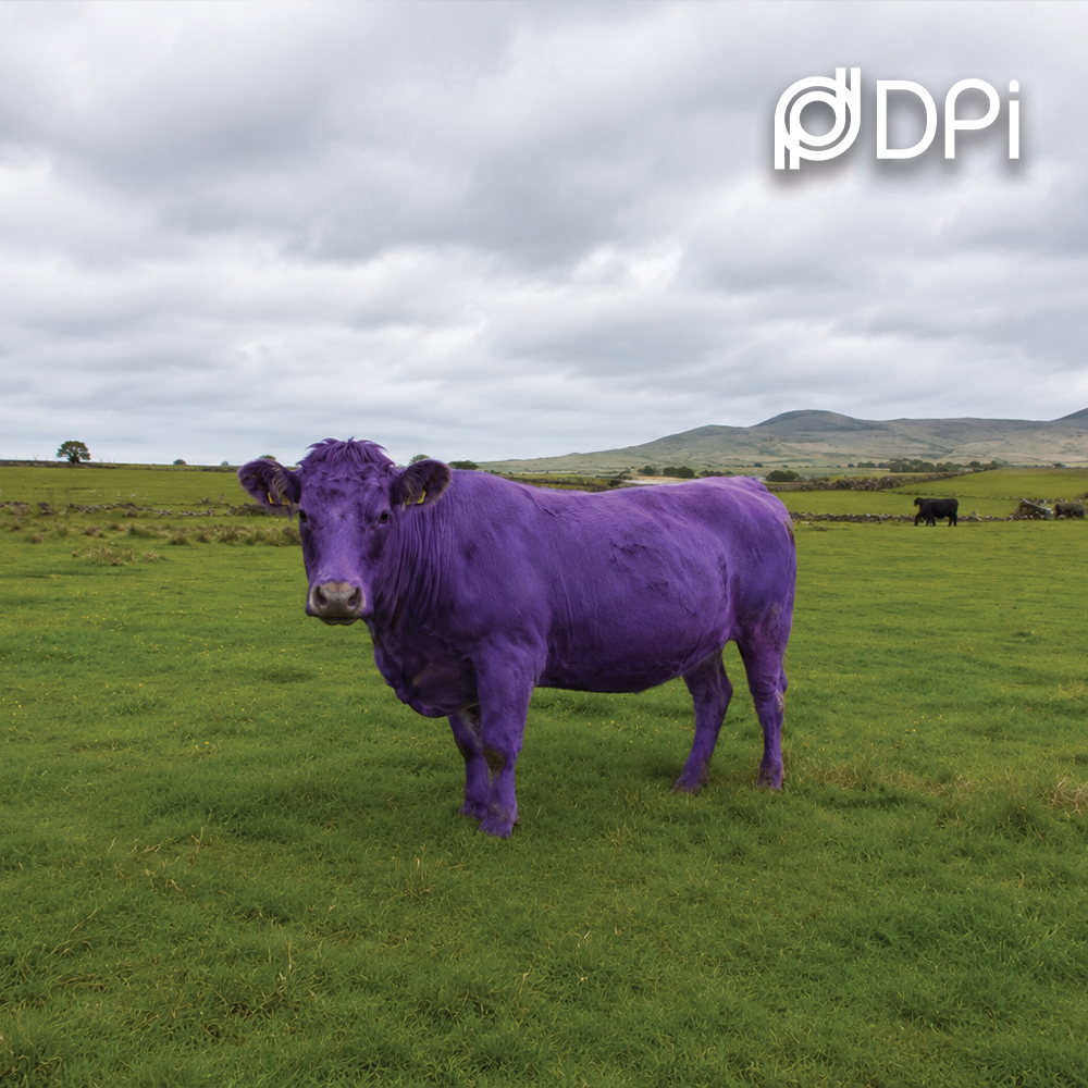 How to Stand Out at Industry Trade Shows: The Purple Cow Principle