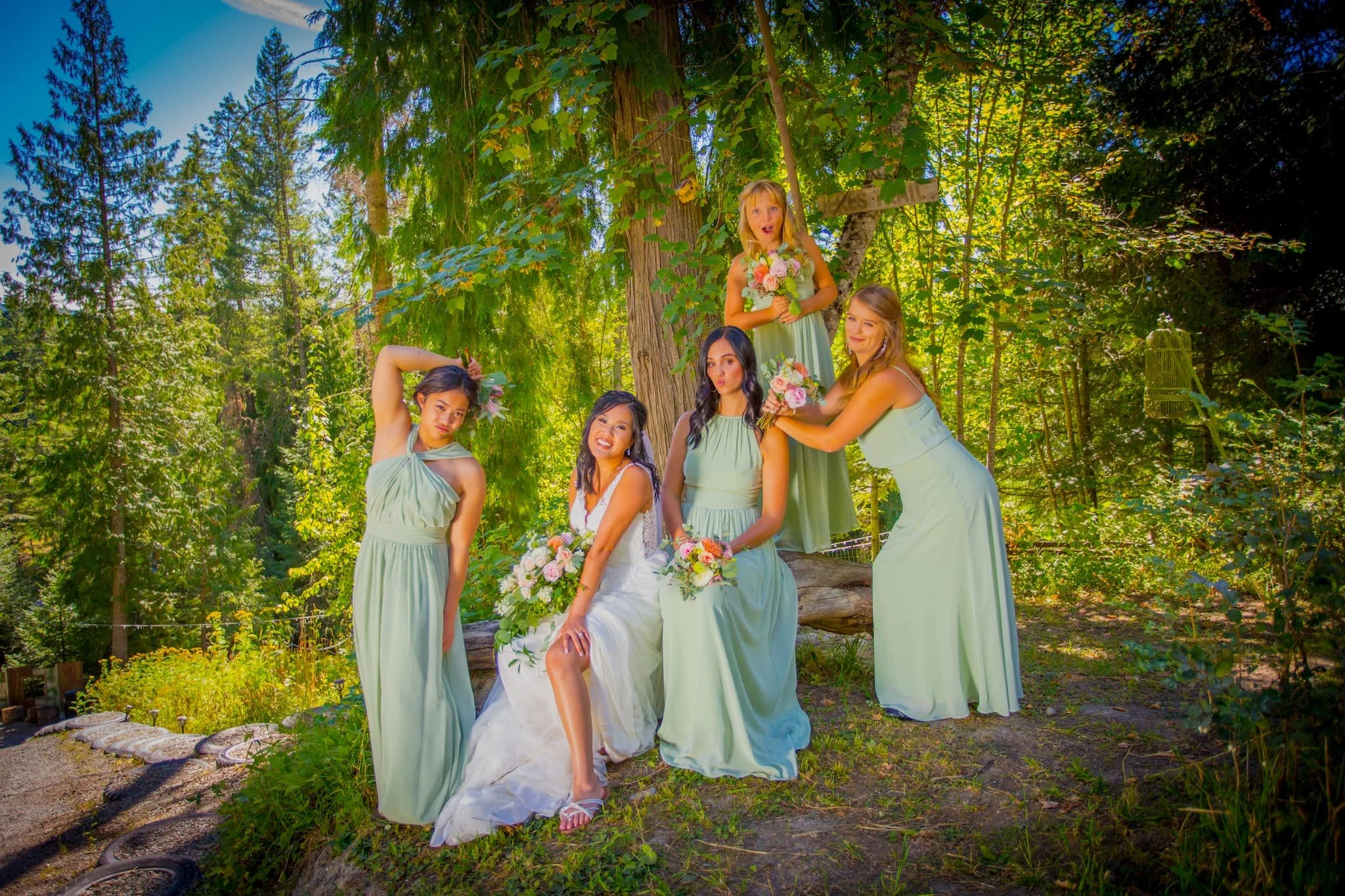 Colorful colors under the shade of the massive cedar trees which make this venue like no others around