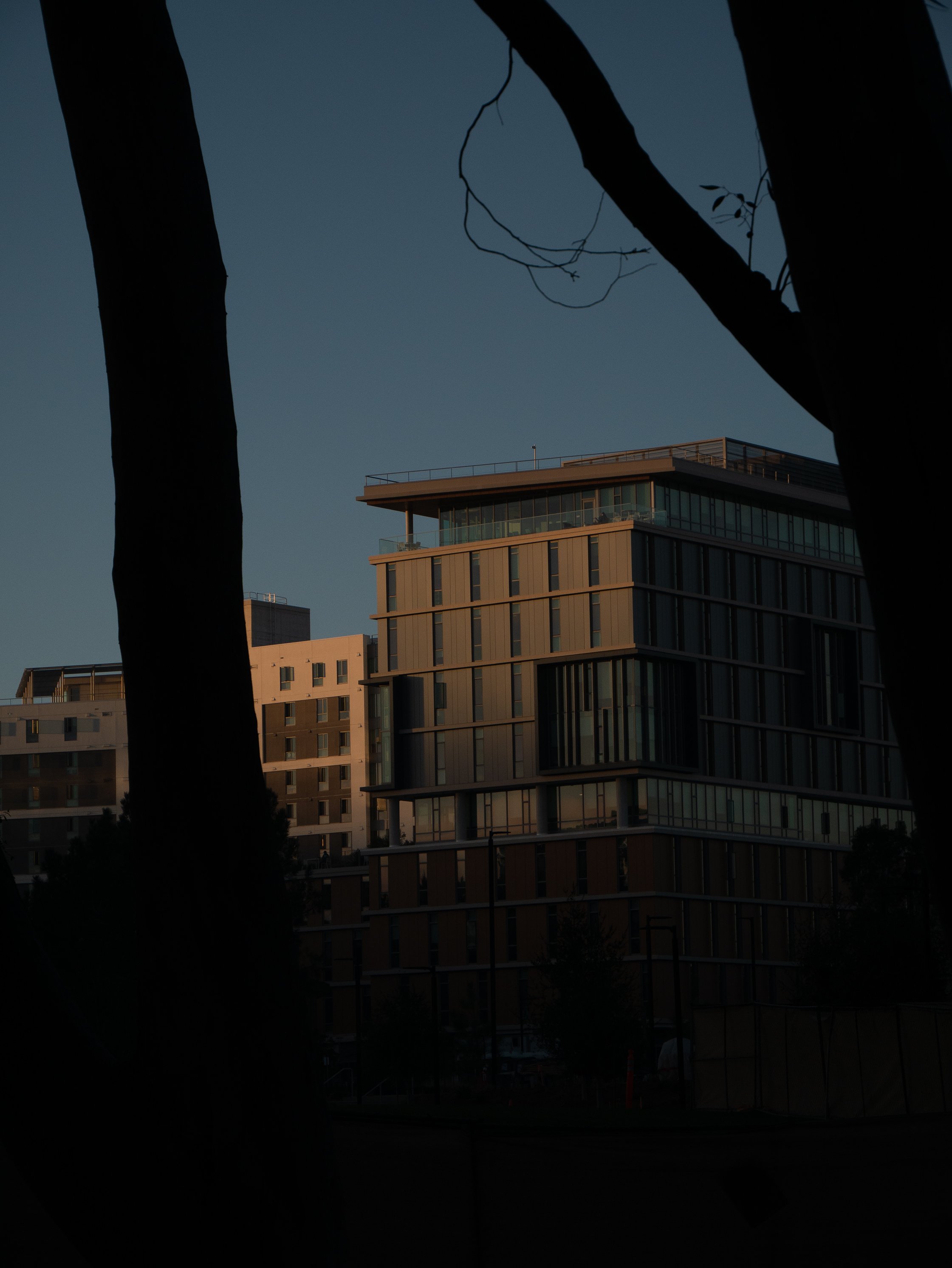 P1020613.jpg