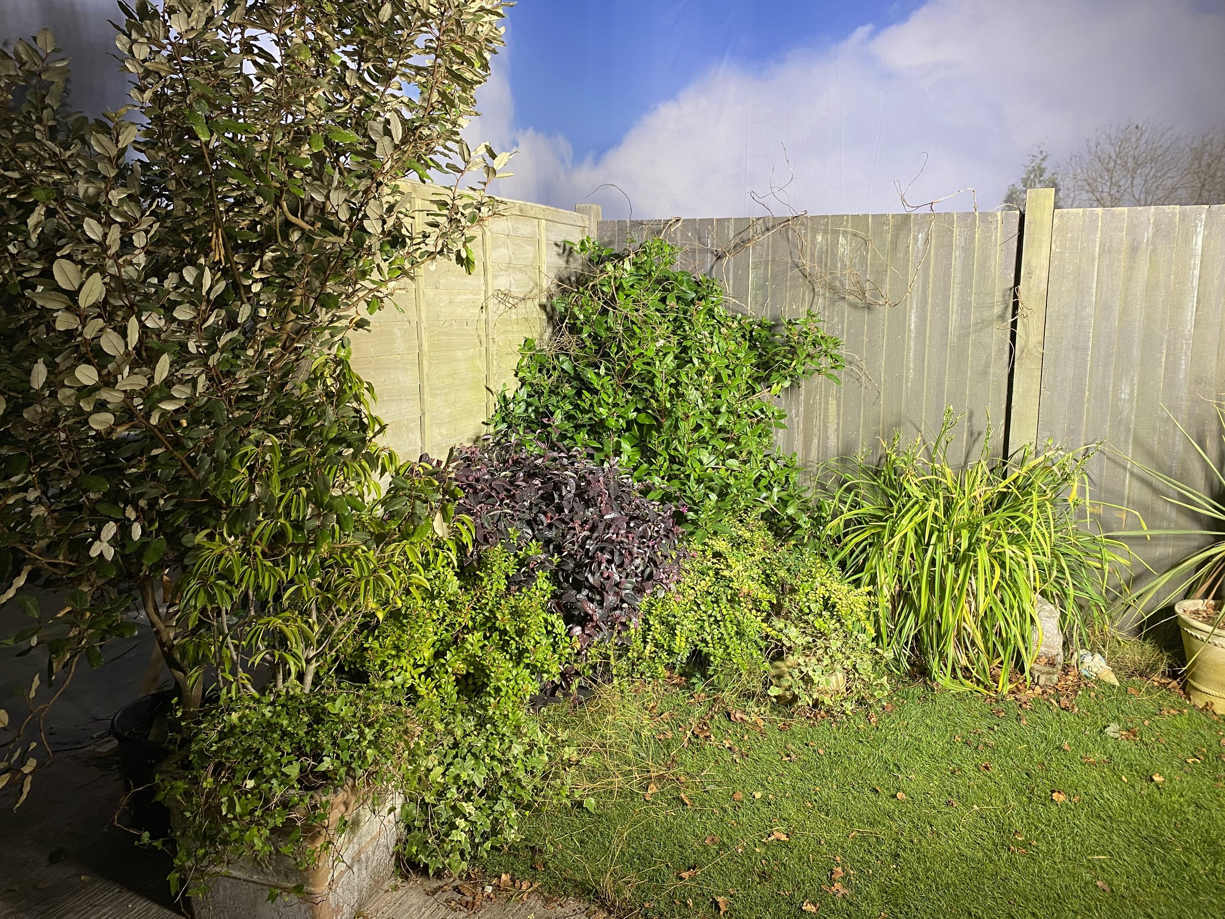 IMG_1100.jpeg