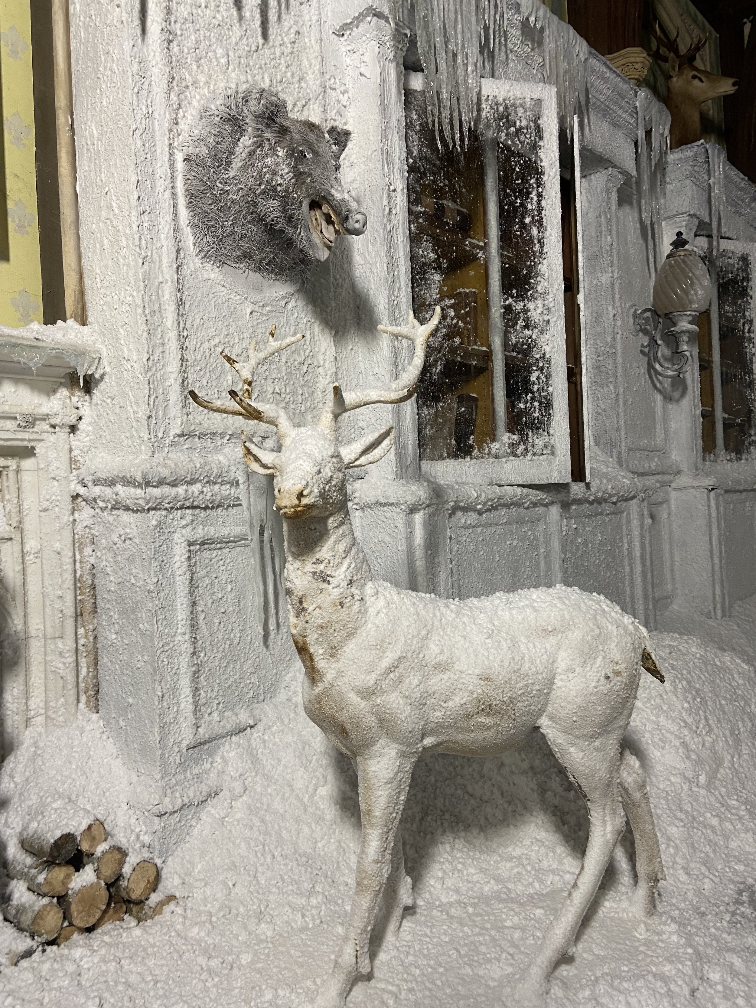 IMG_3198.jpeg