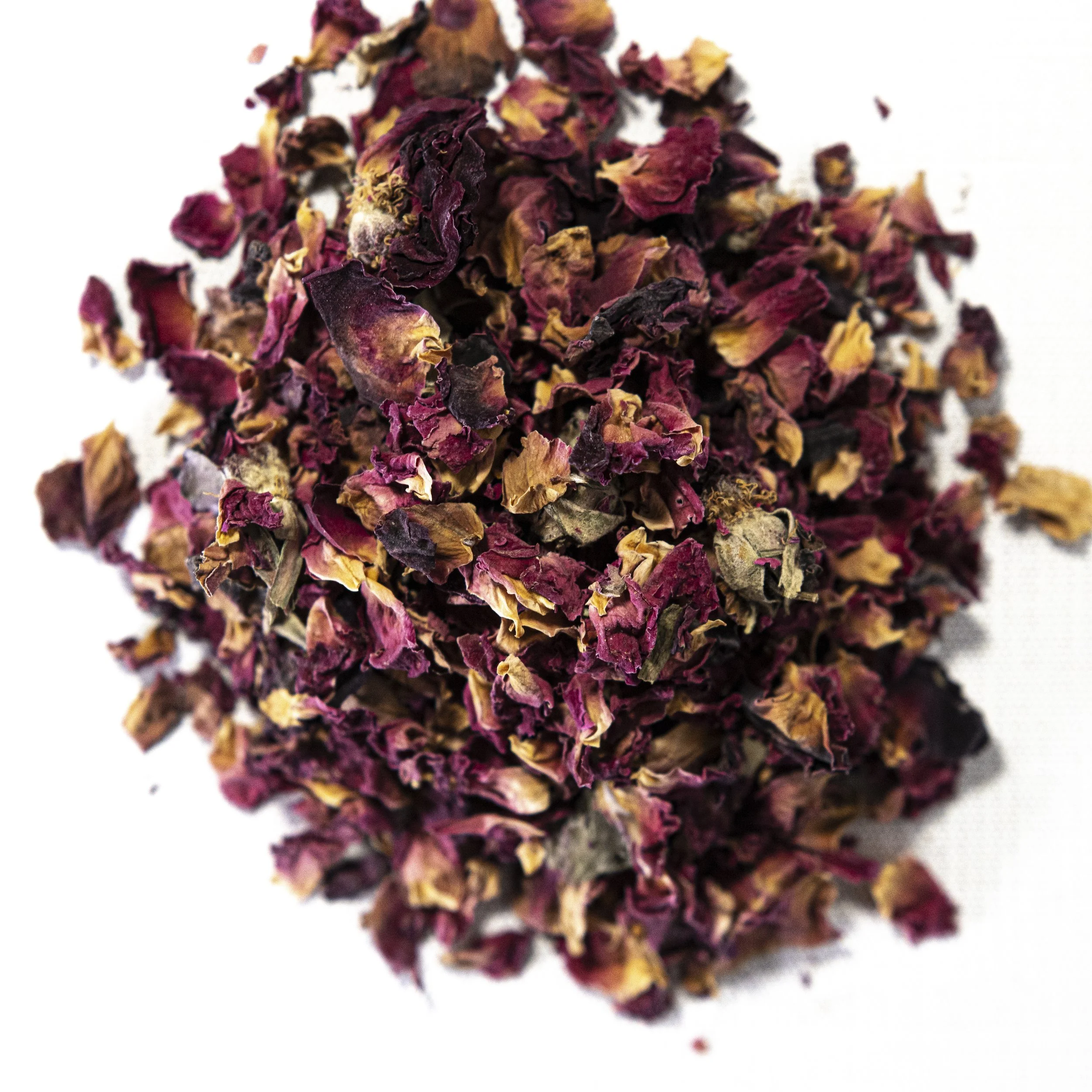 incense (hoj)-1534.jpg