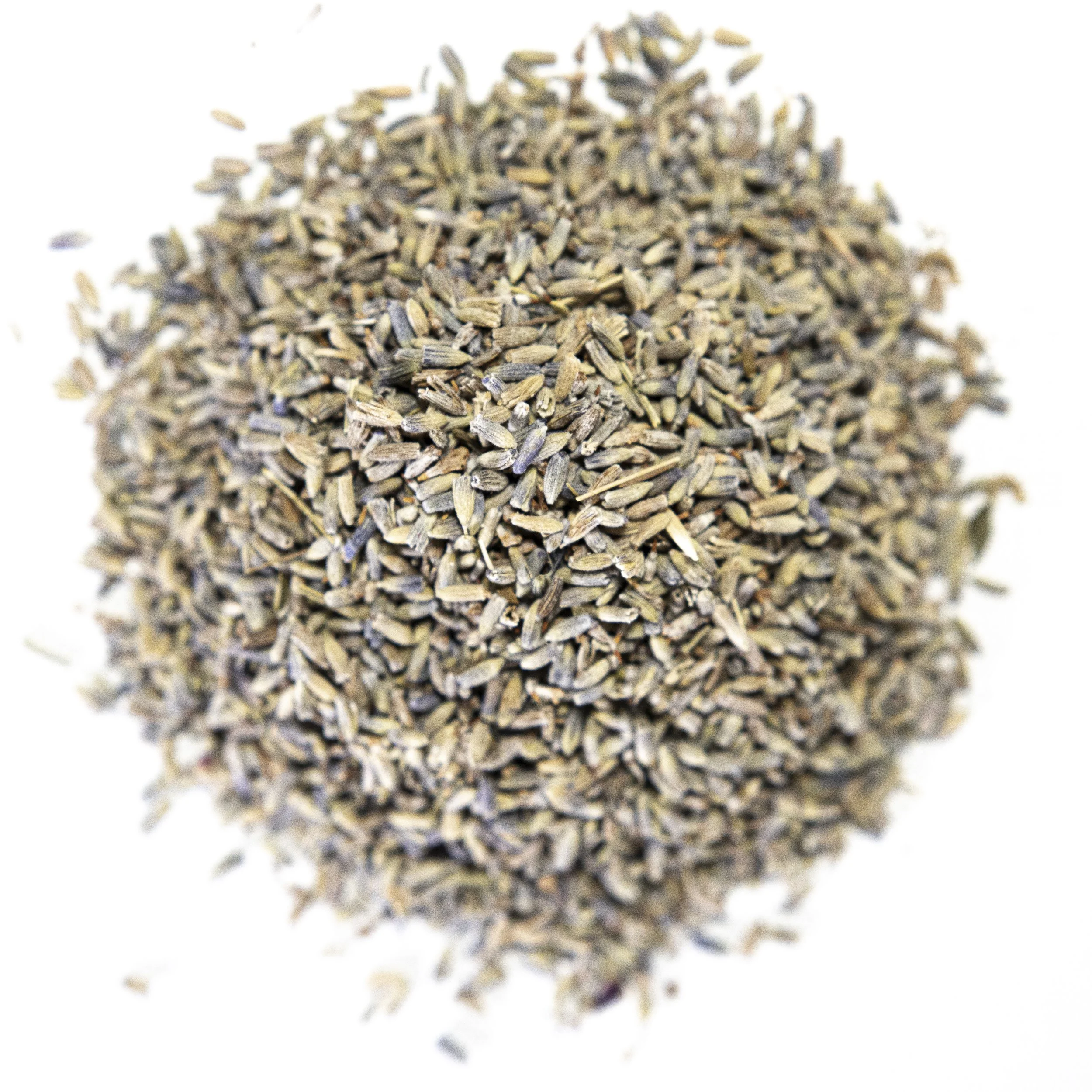 incense (hoj)-1533.jpg