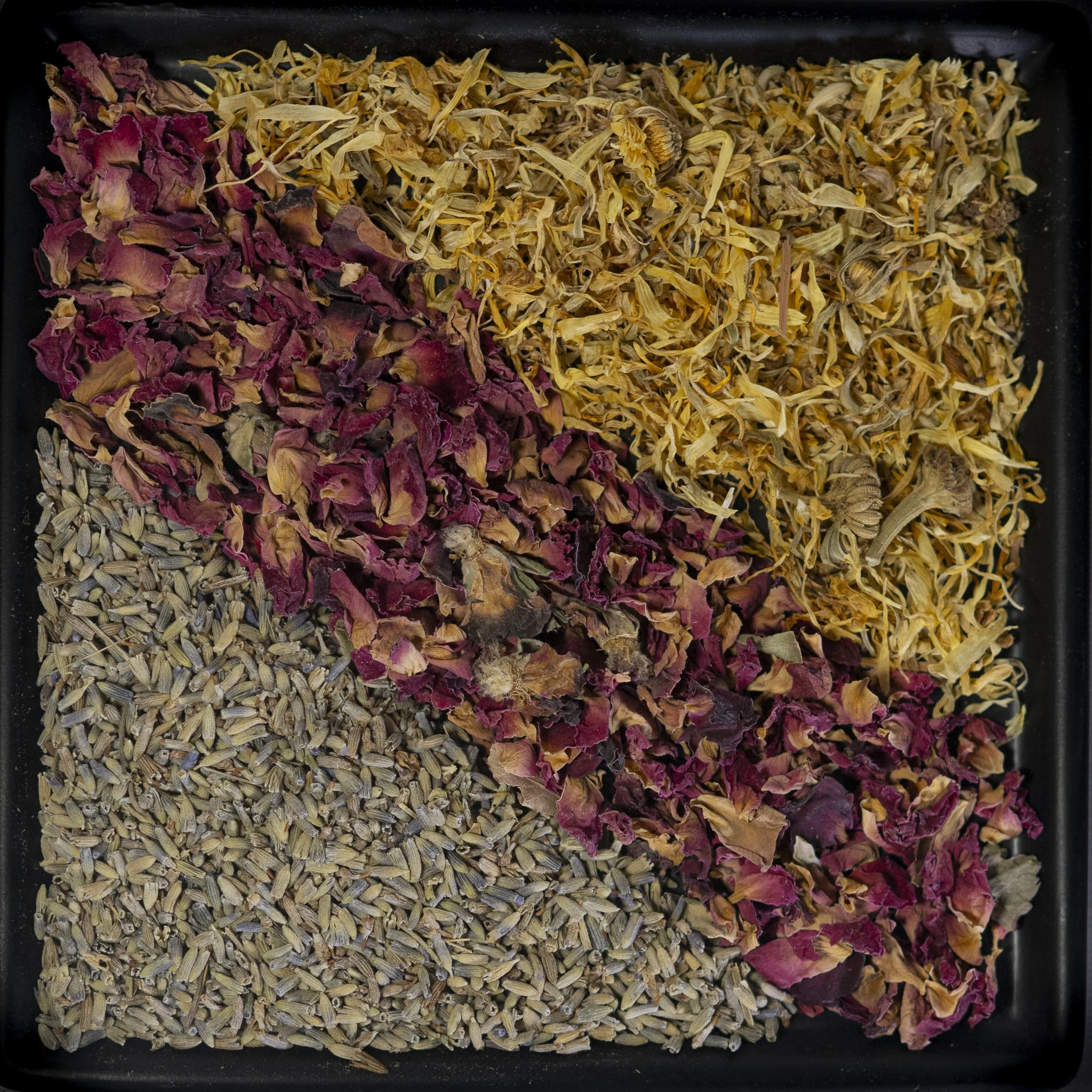 incense (hoj)-1543.jpg