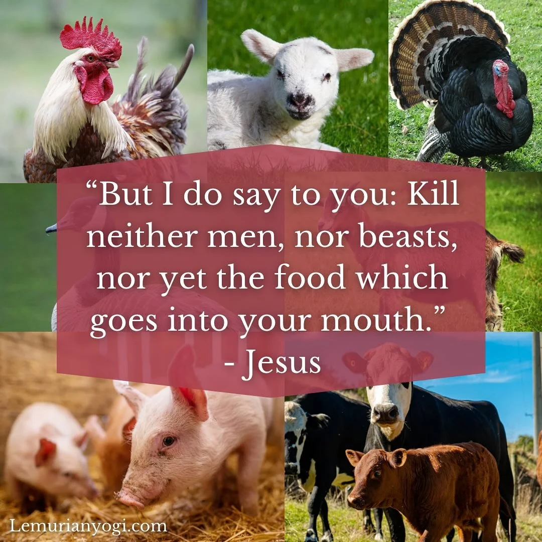 From the Essene Gospel of Peace: Book One
&ldquo;But I do say to you: kill neither men, nor beasts, nor yet the food which goes into your mouth. For if you eat living food, the same will quicken you, but if you kill your food, the dead food will kill