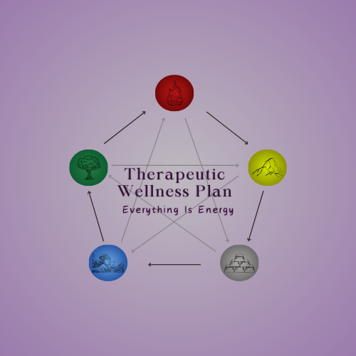 Wellness Plan Thumbnail.png