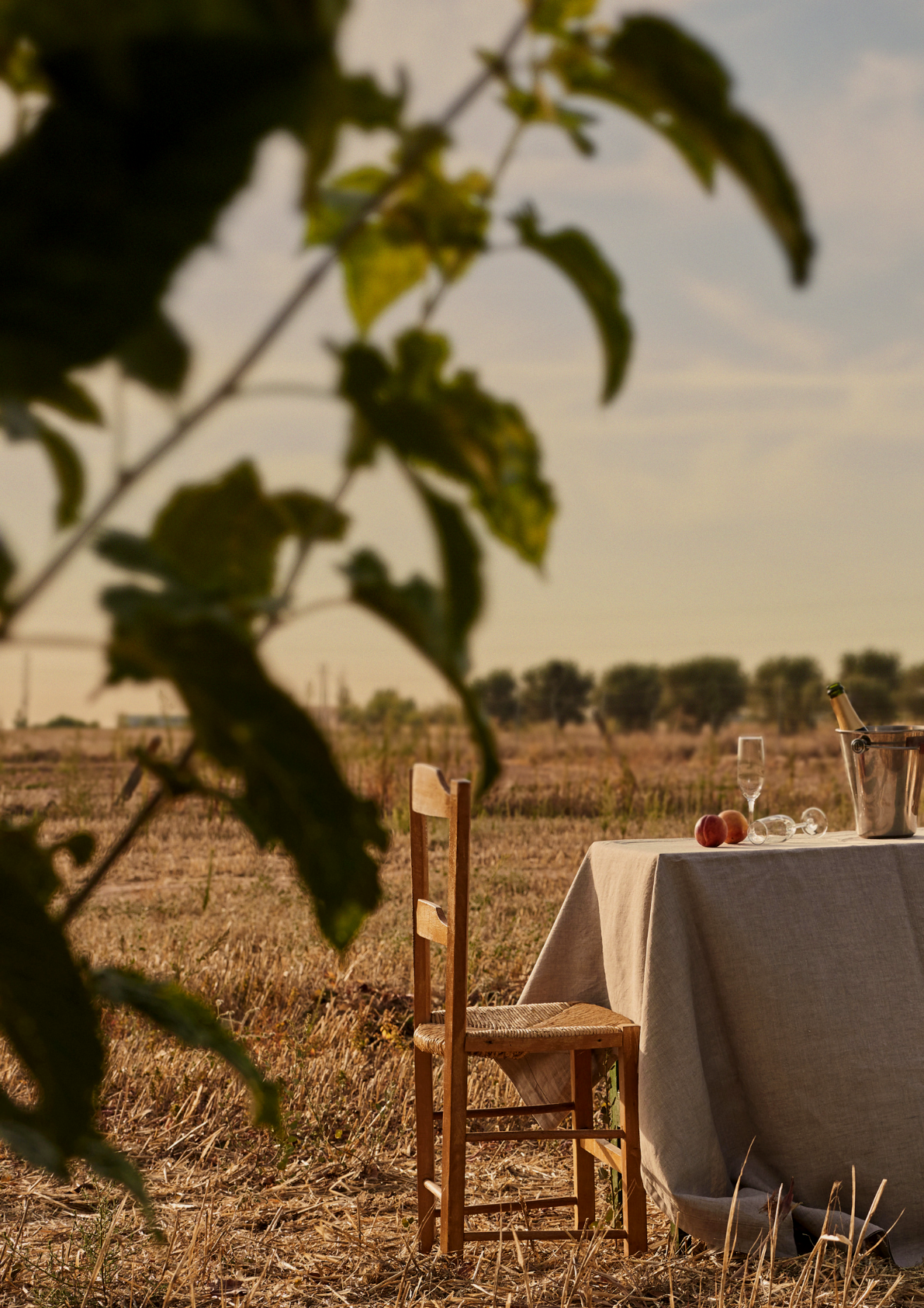 Empty outdoor dining table with a beige tablecloth, wine glass, peaches, and a champagne bottle in an ice bucket, set in a dry field at sunset, viewed through blurred green leaves in the foreground.