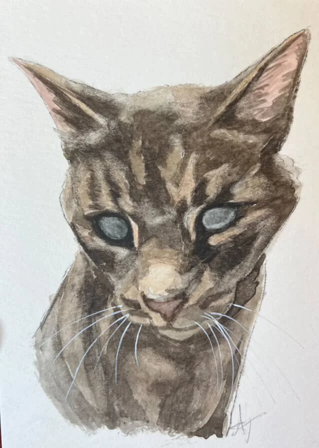 A watercolor portrait of Saturn, a senior, gray tabby cat. Saturn is blind so his eyes are foggy.