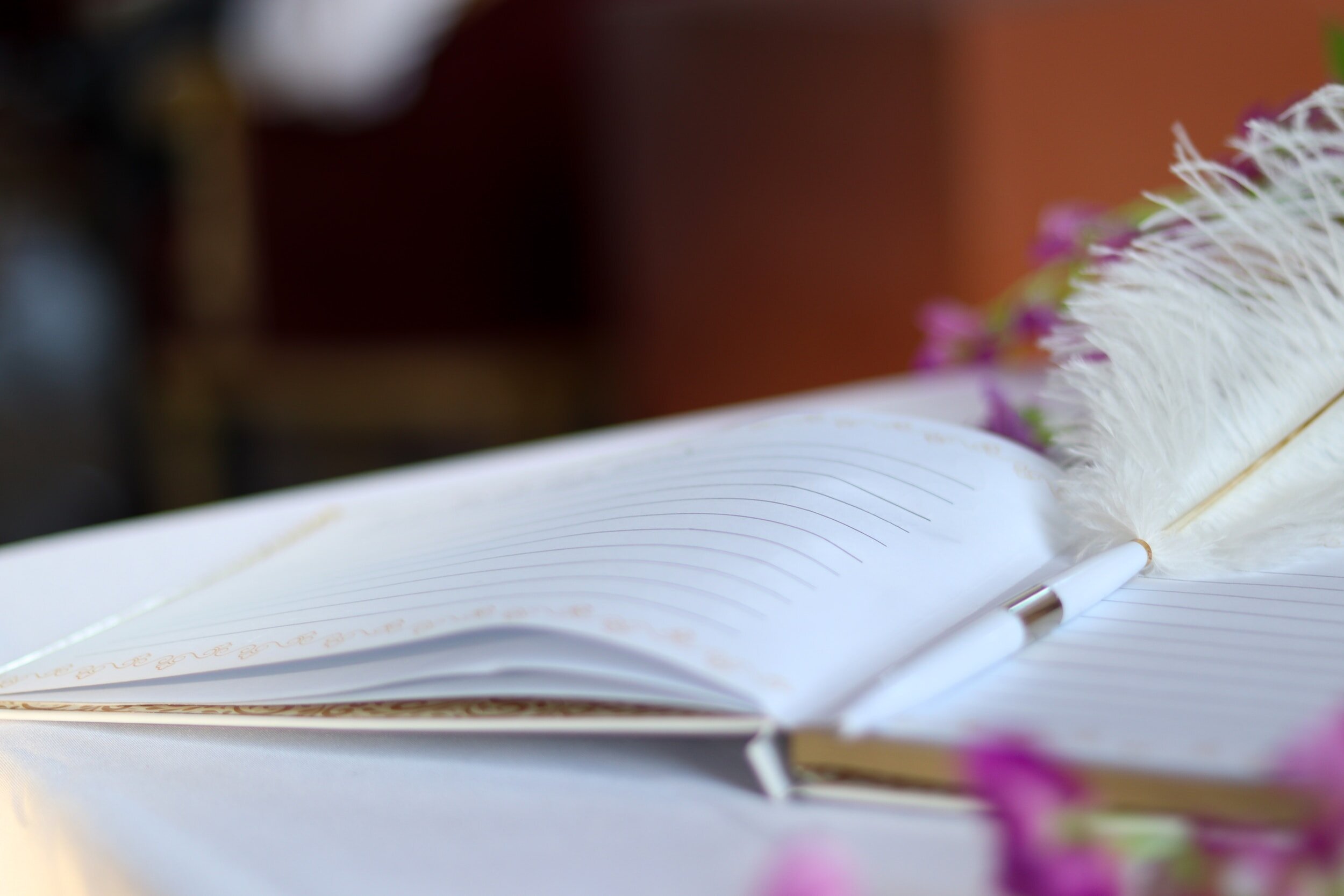 Marriage License Signing Only