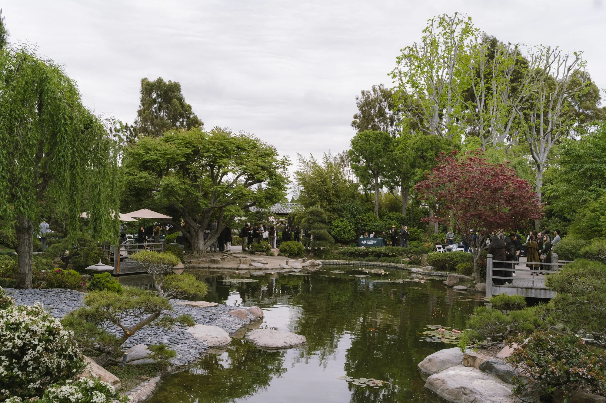 Cal State Long Beach for Sustainability Awards