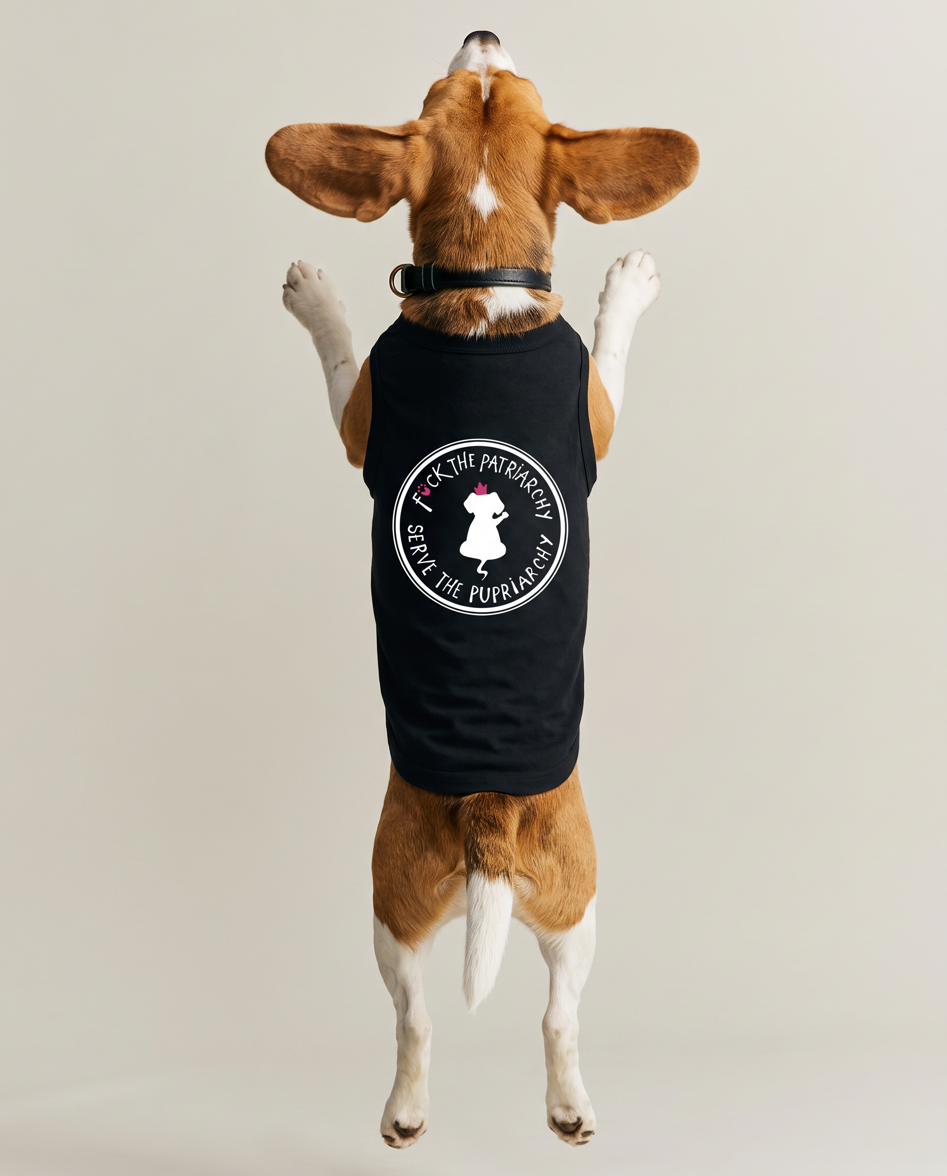 magnific__create-an-identical-photo-of-this-dog-img1-but-wea__65646.png
