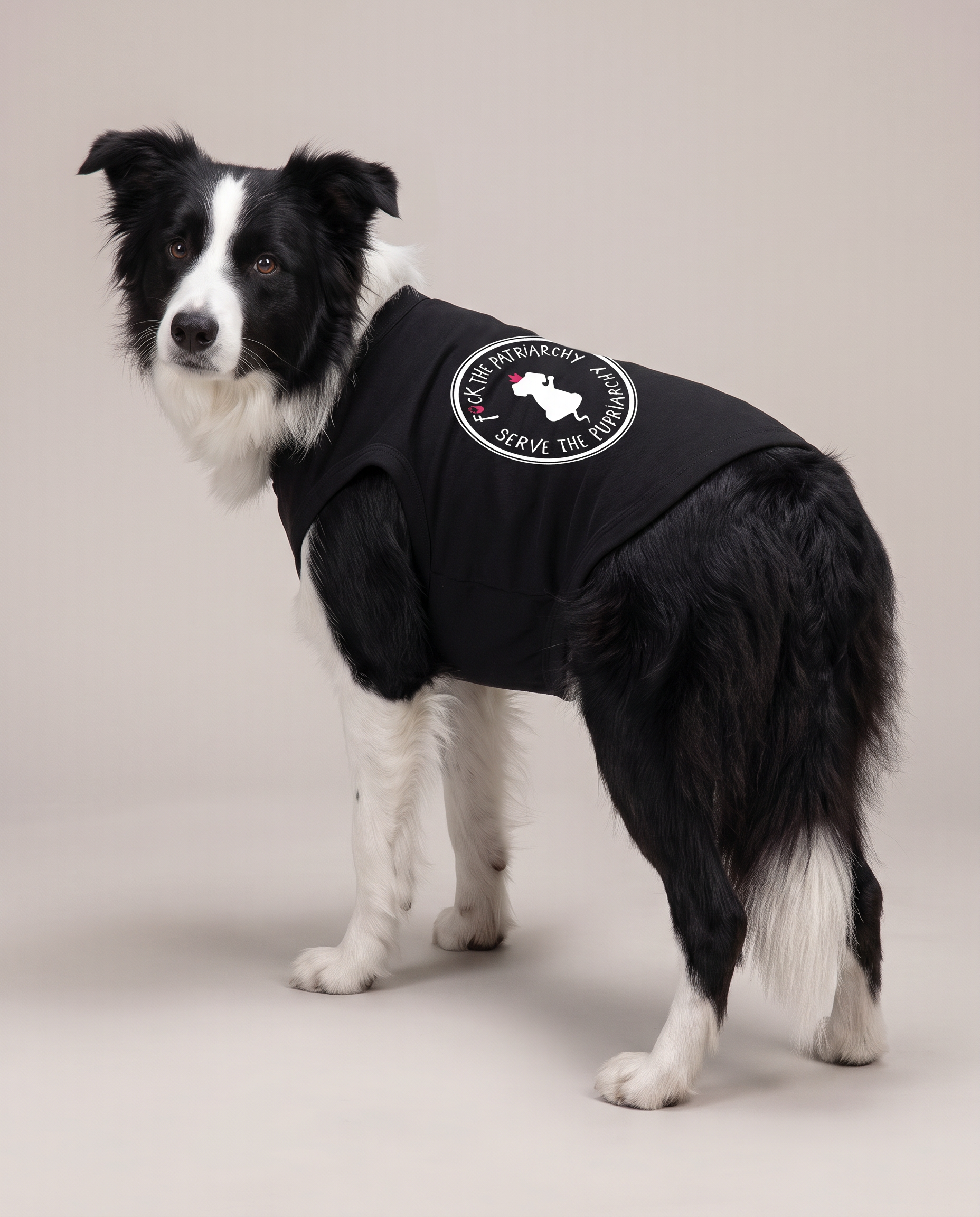 magnific__create-an-identical-photo-of-this-dog-img1-but-wea__65647.png