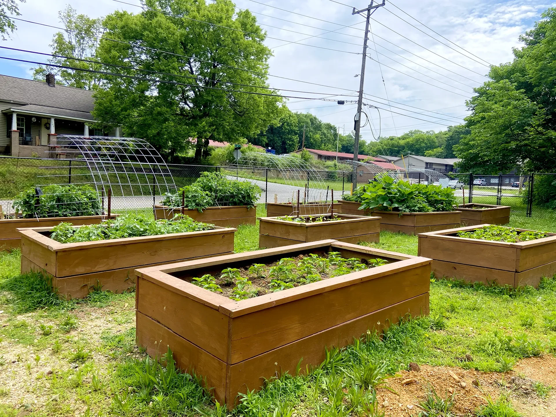 Several raised garden beds at the Blythe Oldfield Community Garden in Cleveland, TN.