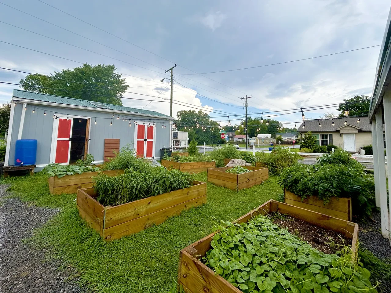 blythe-oldfield-garden-beds.webp