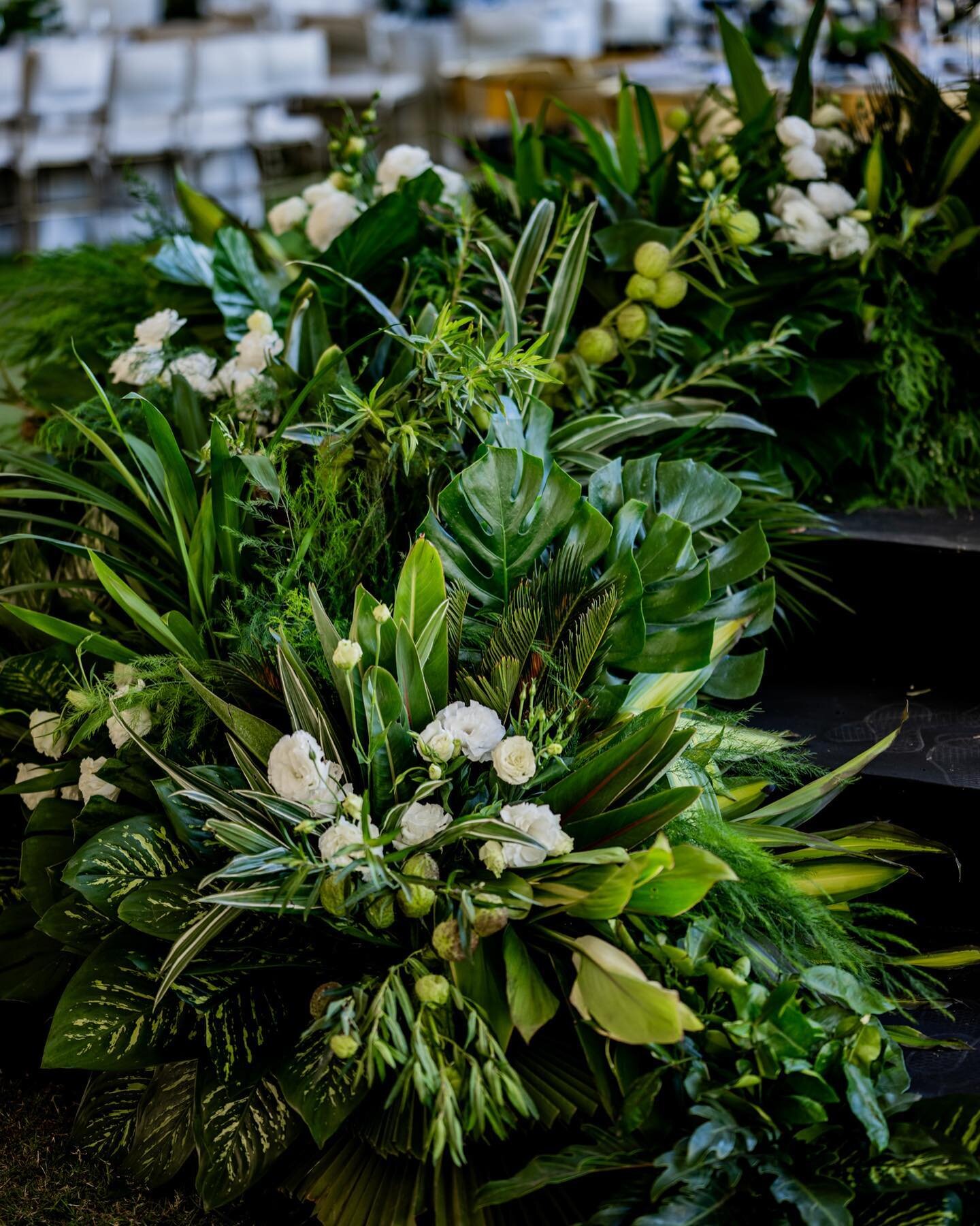 Claudia Ines y Ernesto 
@claudia.ozua