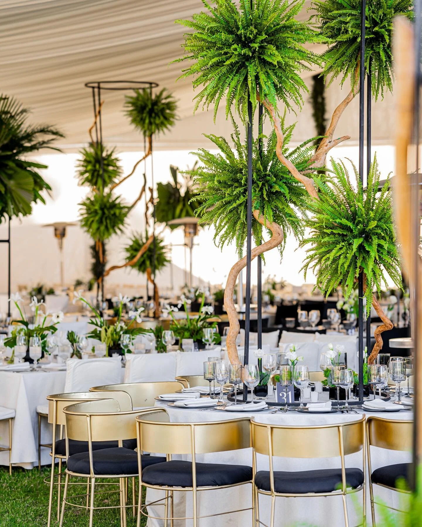 Deets | CE 
@claudia.ozua 
@somplayitloud